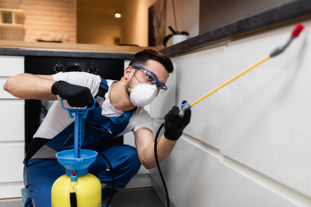 Best Rat Extermination Near Me  in Hart, MI