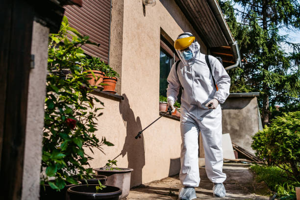 Best Bed Bug Extermination  in Hart, MI