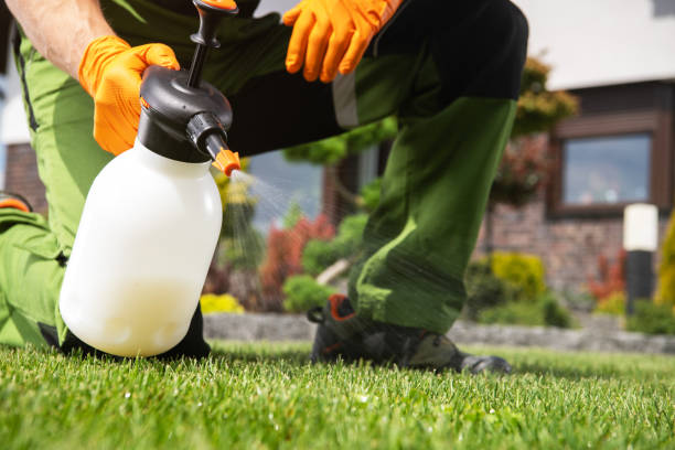 Best Pest Prevention Services  in Hart, MI
