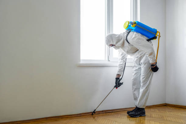 Best Best Pest Control Companies  in Hart, MI