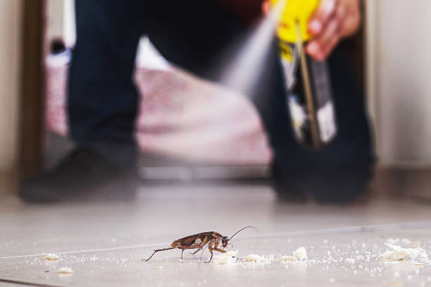  Hart, MI Pest Control Pros