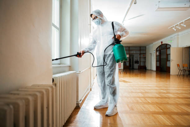 Best Termite Control Services  in Hart, MI